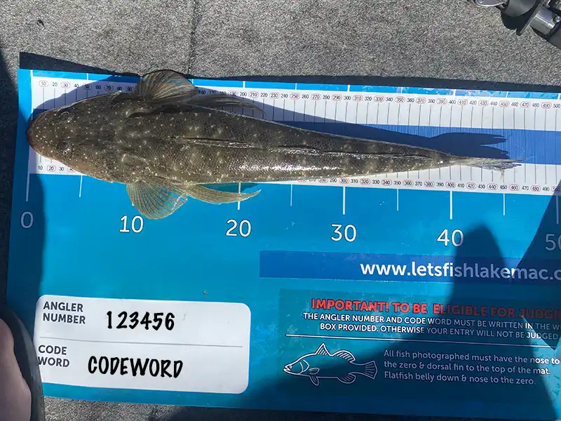 Photographing Your Fish